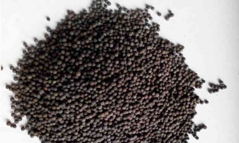 http://www.shangjiupinke.com