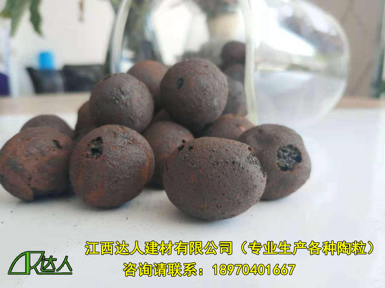 http://www.shangjiupinke.com